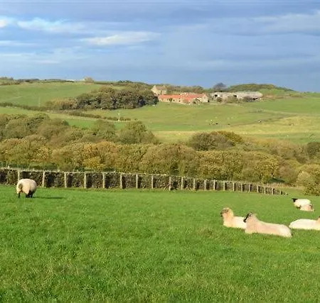 Feriehus Badgers Barn