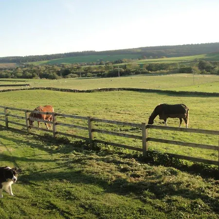 Badgers Barn